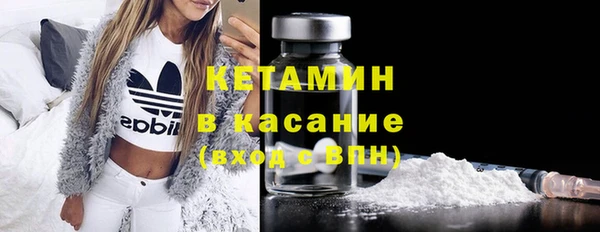 прущие грибы Каменногорск