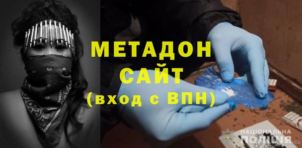 прущие грибы Каменногорск