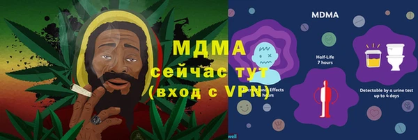 прущие грибы Каменногорск