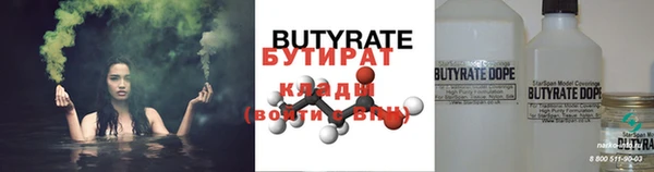 прущие грибы Каменногорск