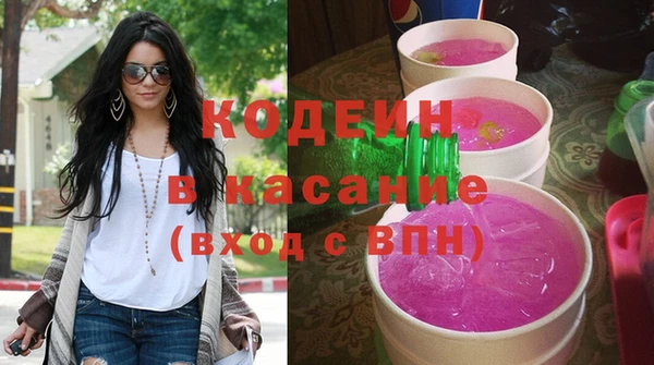 прущие грибы Каменногорск