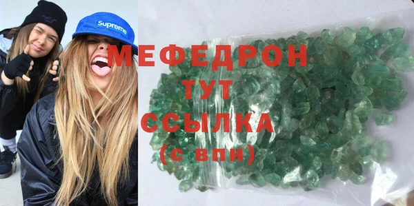 прущие грибы Каменногорск
