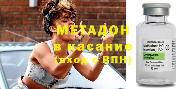 прущие грибы Каменногорск