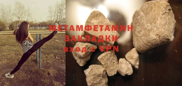 прущие грибы Каменногорск