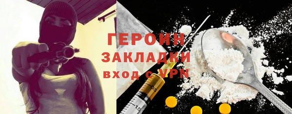прущие грибы Каменногорск