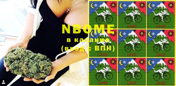 прущие грибы Каменногорск