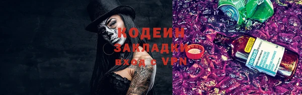 прущие грибы Каменногорск