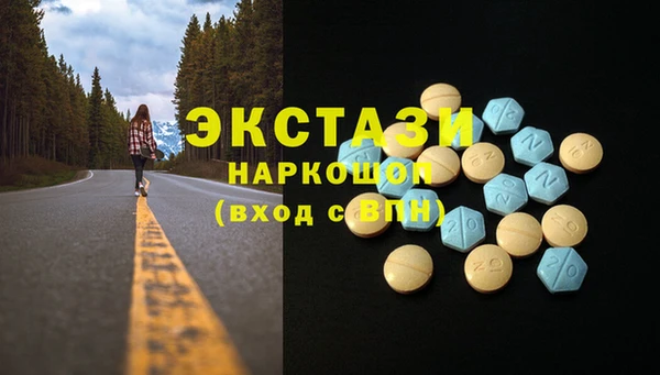 прущие грибы Каменногорск
