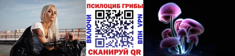 Купить закладки  Багратионовск  Галлюциногенные грибы MAGIC MUSHROOMS 